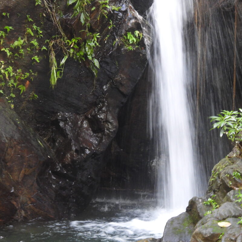 Jaguar Reserve ( River Tubing + waterfalls Hike) (1)